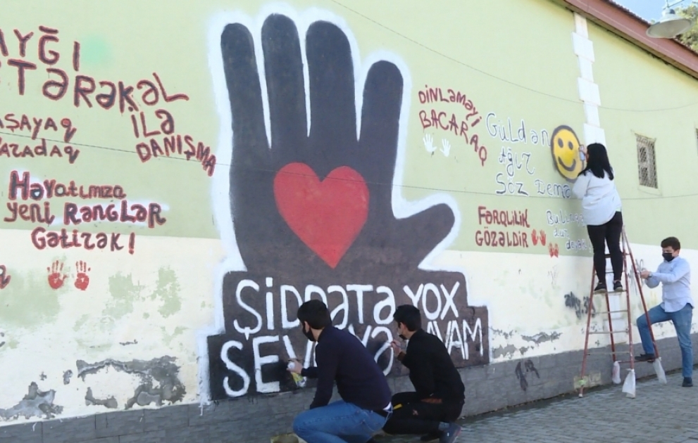 Şəmkirli gənclərdən nəcib təşəbbüs: “Şiddətə yox deyək!”  FOTO VİDEO