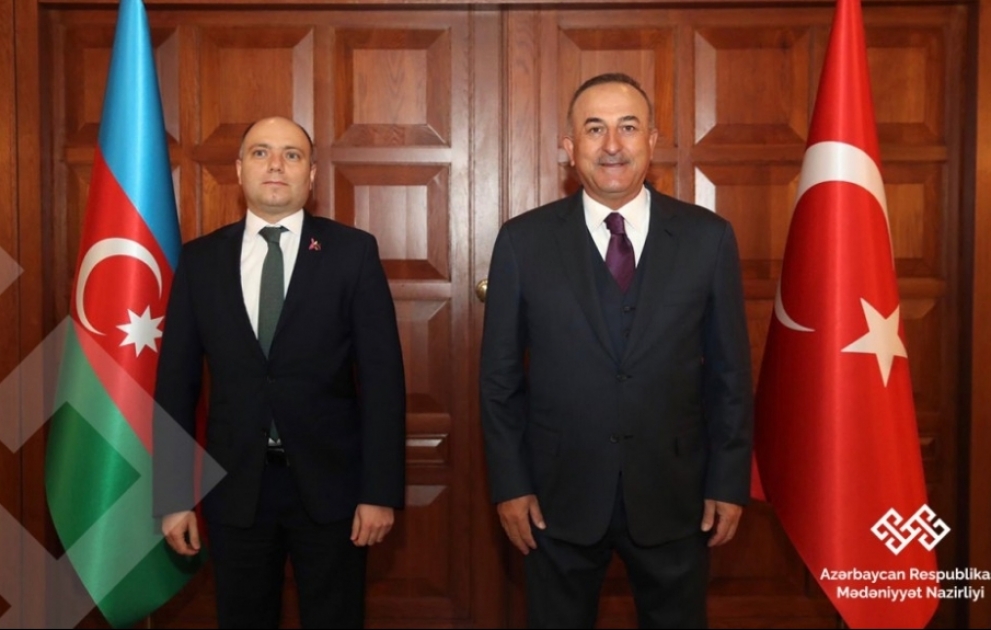 Azərbaycanın mədəniyyət naziri Türkiyənin xarici işlər naziri ilə görüşüb VİDEO