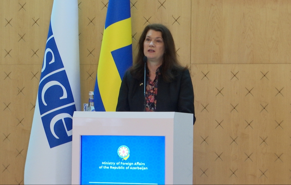Ann Linde: İsveç Azərbaycan ilə münasibətlərə xüsusi əhəmiyyət verir VİDEO