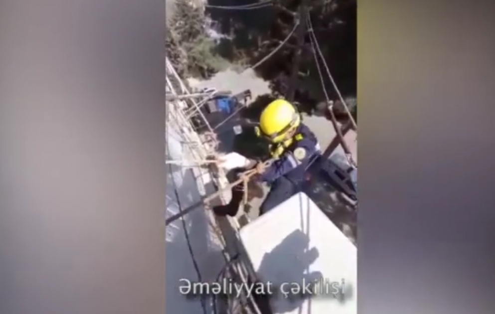FHN: 47 yanğına çıxış və 7 halda köməksiz vəziyyətdə qalma faktları üzrə qəza-xilasetmə əməliyyatları həyata keçirilib VİDEO