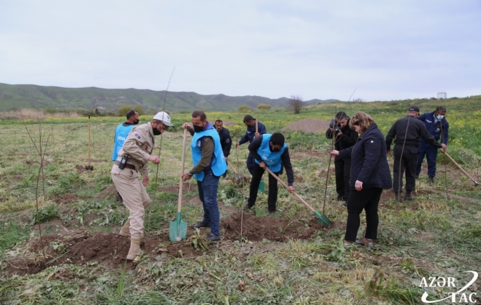 Kütləvi informasiya vasitələrinin nümayəndələri Cəbrayıl və Qubadlı rayonlarına səfər ediblər VİDEO