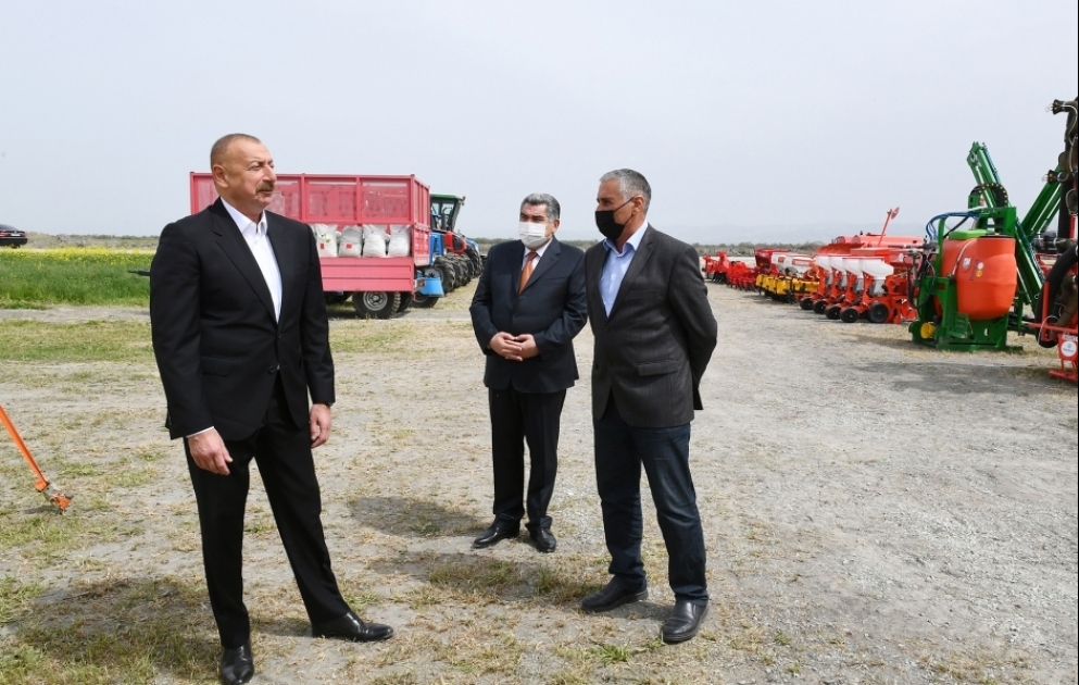 Prezident İlham Əliyev Hacıqabulda fermer Elşən Xəlilovun pambıq tarlasında səpin prosesini izləyib YENİLƏNİB VİDEO