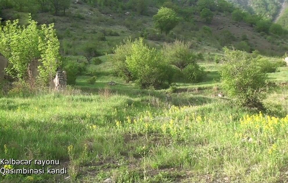 Müdafiə Nazirliyi Kəlbəcər rayonunun Qasımbinəsi kəndinin videogörüntülərini paylaşıb VİDEO