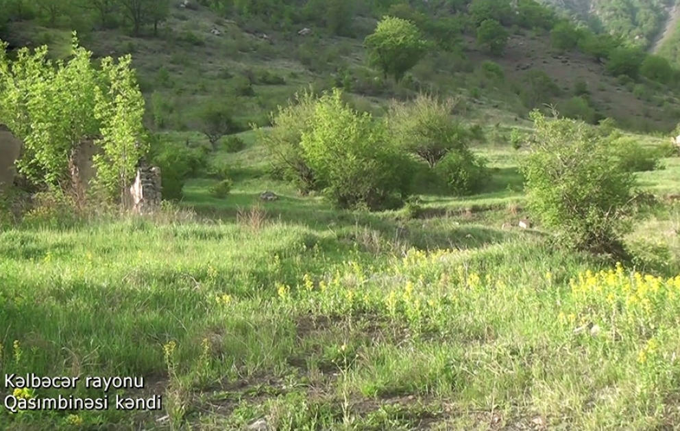 Azerbaijan’s Defense Ministry releases video footages of Gasimbinasi village, Kalbajar district VIDEO
