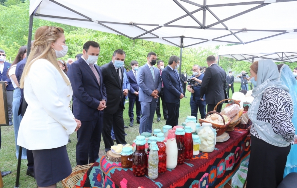 İsmayıllıda dövlət dəstəyi ilə 15 kənd qonaq evi yaradılıb VİDEO