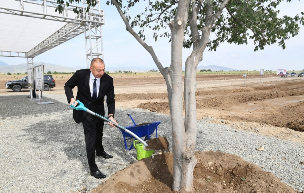 Präsident Ilham Aliyev pflanzt Bäume im Waldpark in der Stadt Aghdam VIDEO