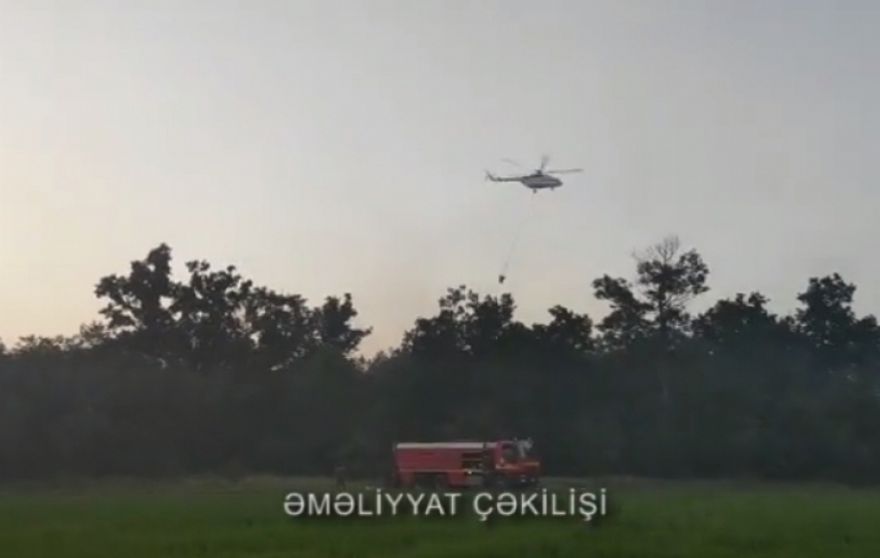 FHN: Nabran qəsəbəsi yaxınlığında meşə və meşəətrafı zonada baş vermiş yanğın söndürülüb VİDEO