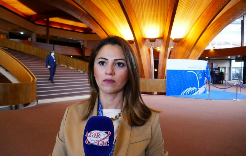 Sevinc Fətəliyeva: Həqiqətlərin düzgün və şəffaf çatdırılması üçün jurnalistlərə təhlükəsiz şərait yaradılmalıdır VİDEO