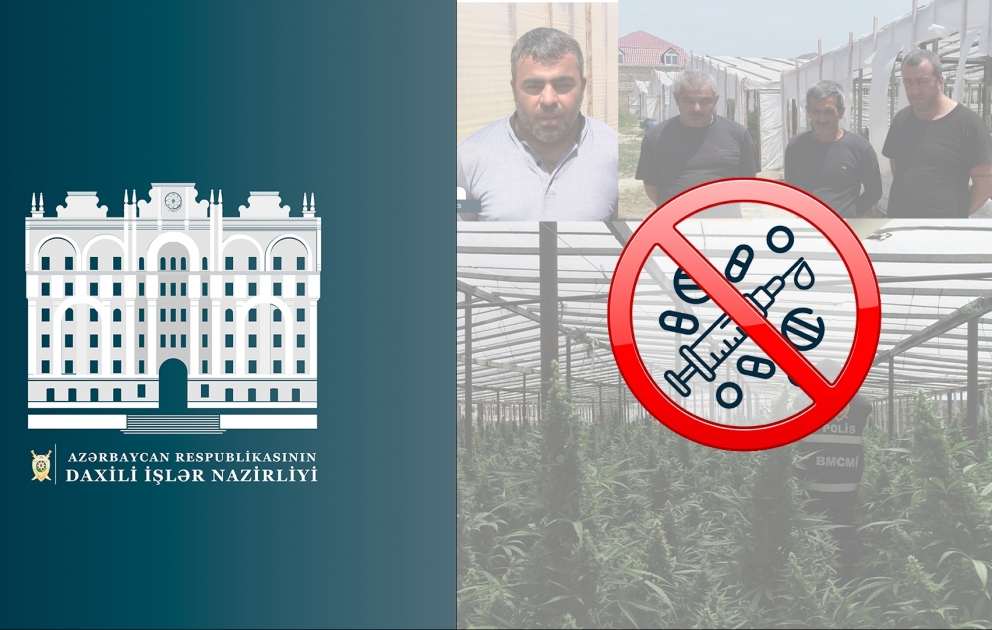 Sabunçu rayonunda 15 tondan artıq narkotik vasitə qanunsuz dövriyyədən çıxarılıb VİDEO
