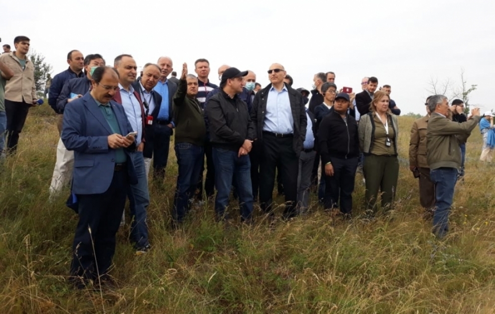 Les représentants du corps diplomatique en Azerbaïdjan visitent la plaine de Djydyr à Choucha VIDEO