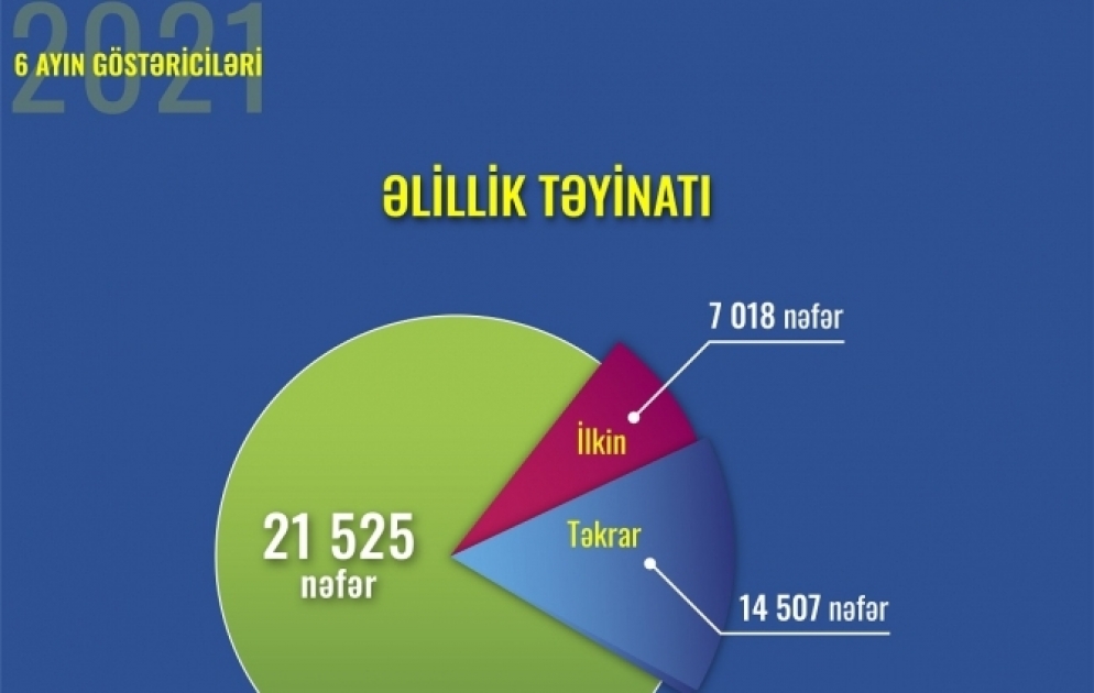 Bu ilin altı ayında 21 mindən çox şəxsə əlillik təyinatı aparılıb VİDEO