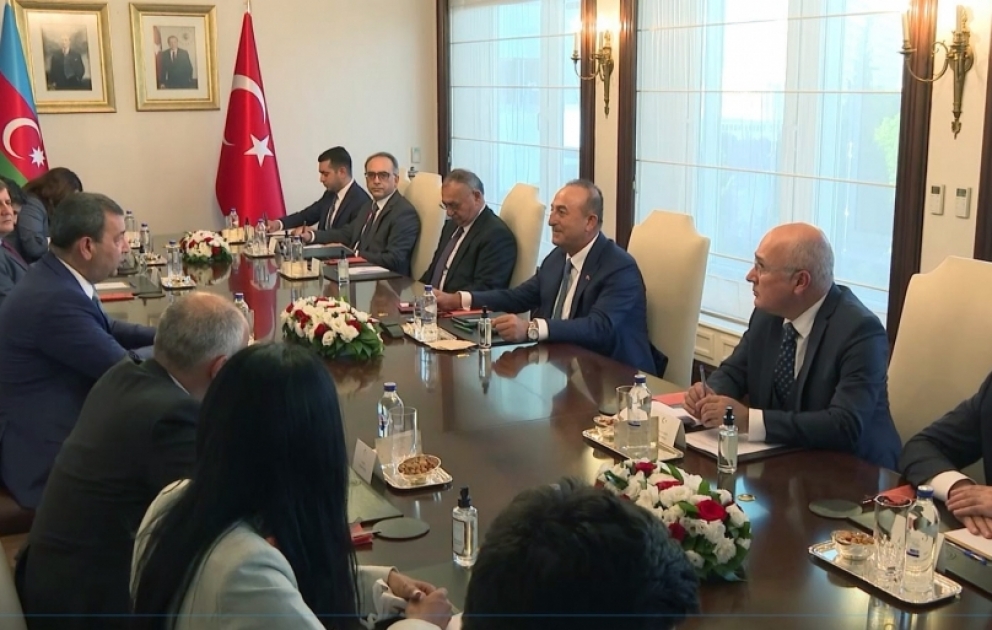 Azərbaycanın parlament nümayəndə heyəti Türkiyənin xarici işlər naziri ilə görüşüb VİDEO