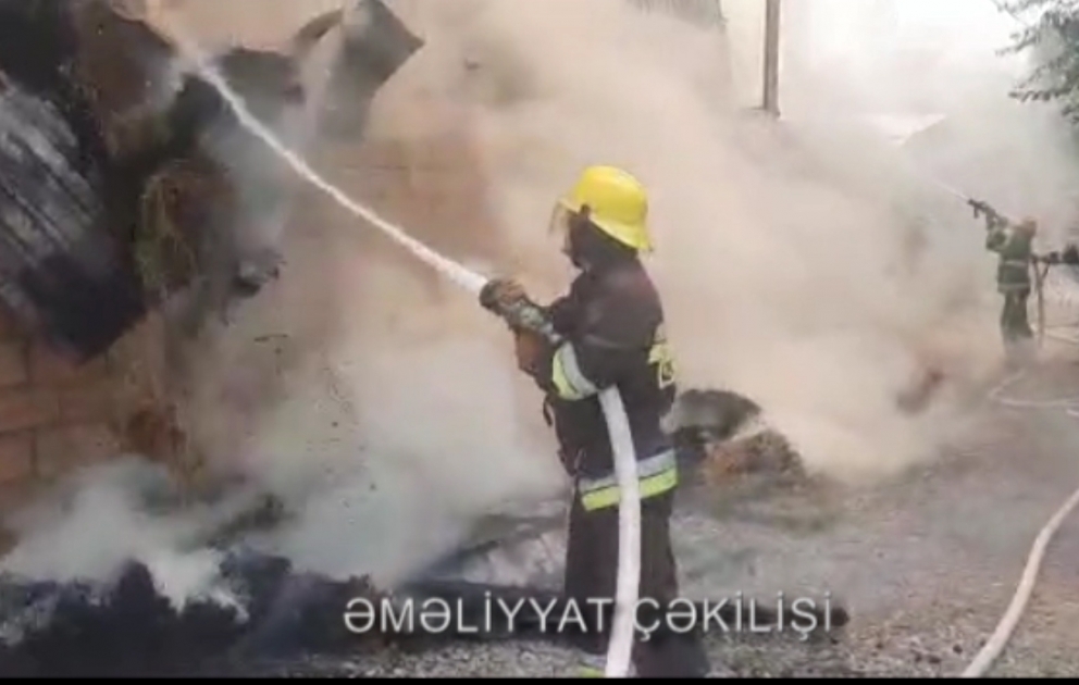 FHN: Ötən sutka ərzində dördü azyaşlı olmaqla 13 nəfər xilas edilib VİDEO