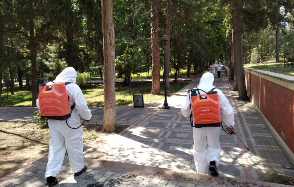 Gəncədə koronavirus infeksiyasına qarşı növbəti dezinfeksiya işləri aparılıb VİDEO
