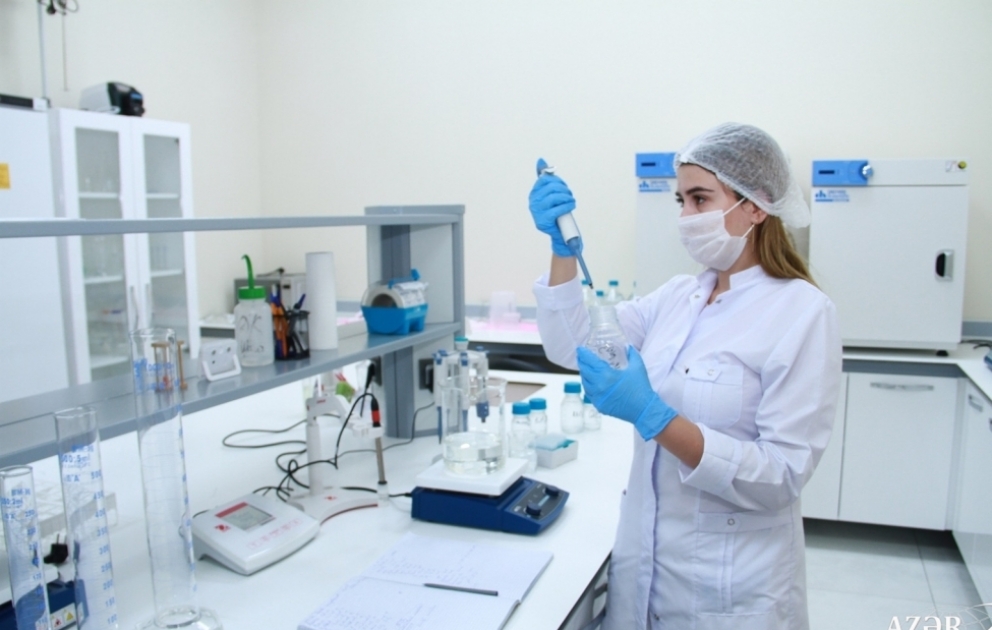 ADAU-nun Biotexnologiya mərkəzində müxtəlif stres amillərinə davamlı bitkilərin əldə olunması istiqamətində tədqiqat işləri aparılır FOTO VİDEO
