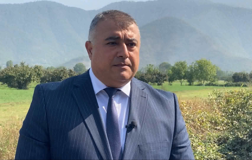Fermerlərə müjdə: Pambığın alış qiyməti 50 manat artırıldı VİDEO