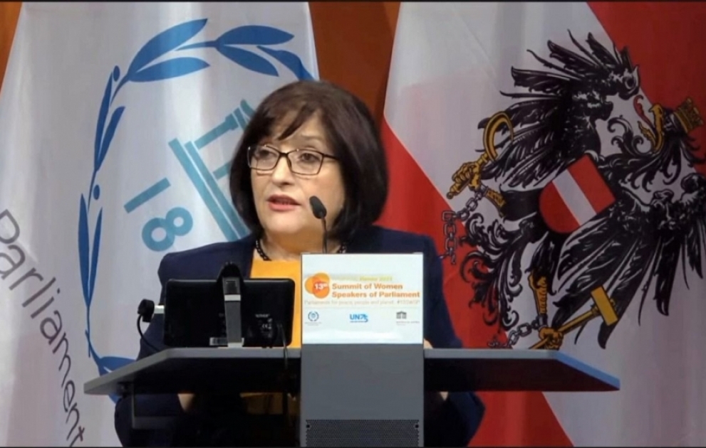 Speaker of Azerbaijan`s Parliament addresses 13th Summit of Women Speakers of Parliament in Vienna VIDEO