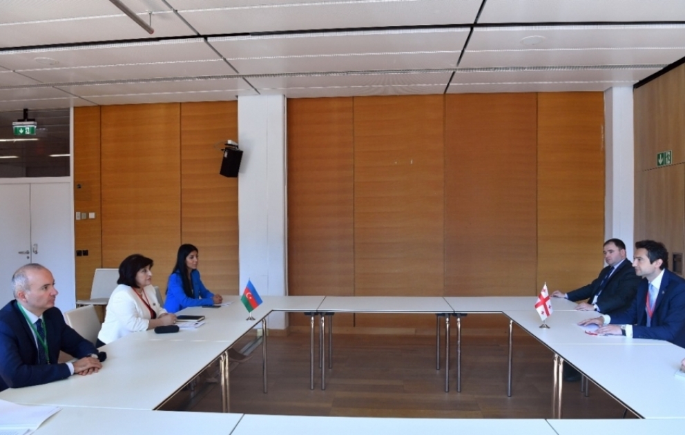 Kaxa Kuçava: Gürcüstan ilə Azərbaycan arasındakı əməkdaşlıq regional çərçivədən çıxaraq beynəlxalq müstəviyə yüksəlib VİDEO