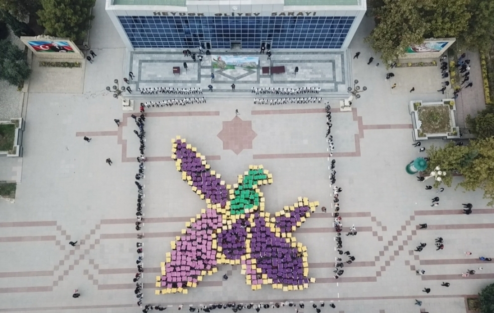 Yevlaxda “Çiçəklənən Xarıbülbül” adlı fləş-mob keçirilib VİDEO