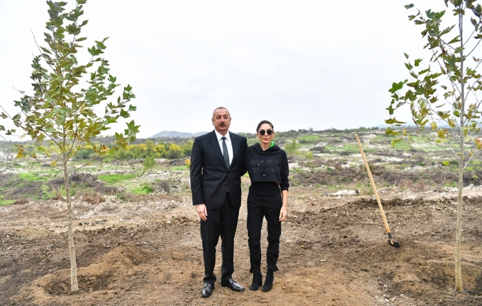 President Ilham Aliyev and First Lady Mehriban Aliyeva planted trees in Central City Park to be built in Fuzuli VIDEO