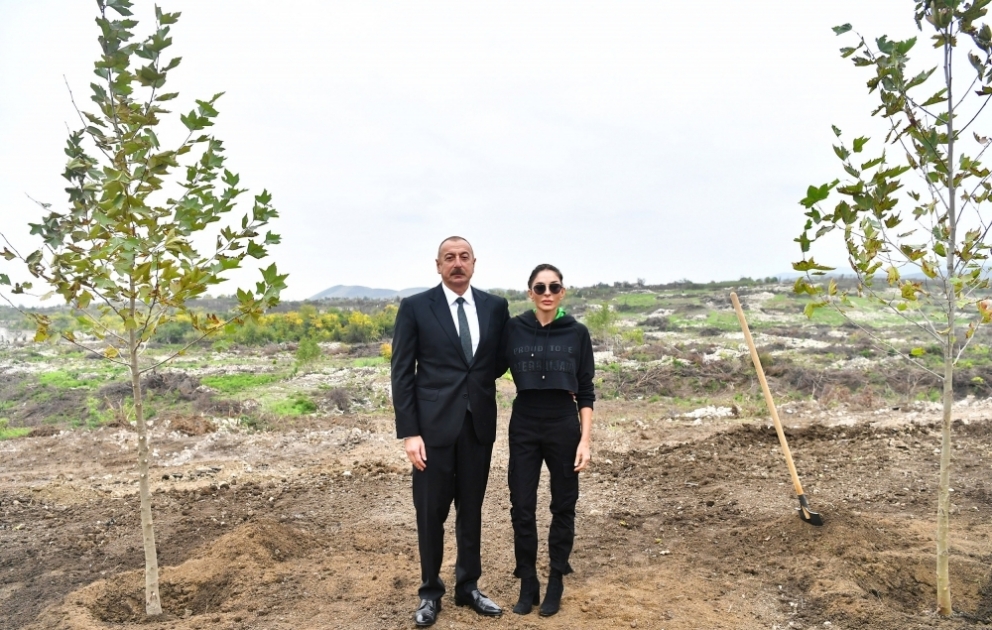 Le président Ilham Aliyev et son épouse Mehriban Aliyeva plantent des arbres dans le Parc urbain central à construire à Fuzouli VIDEO