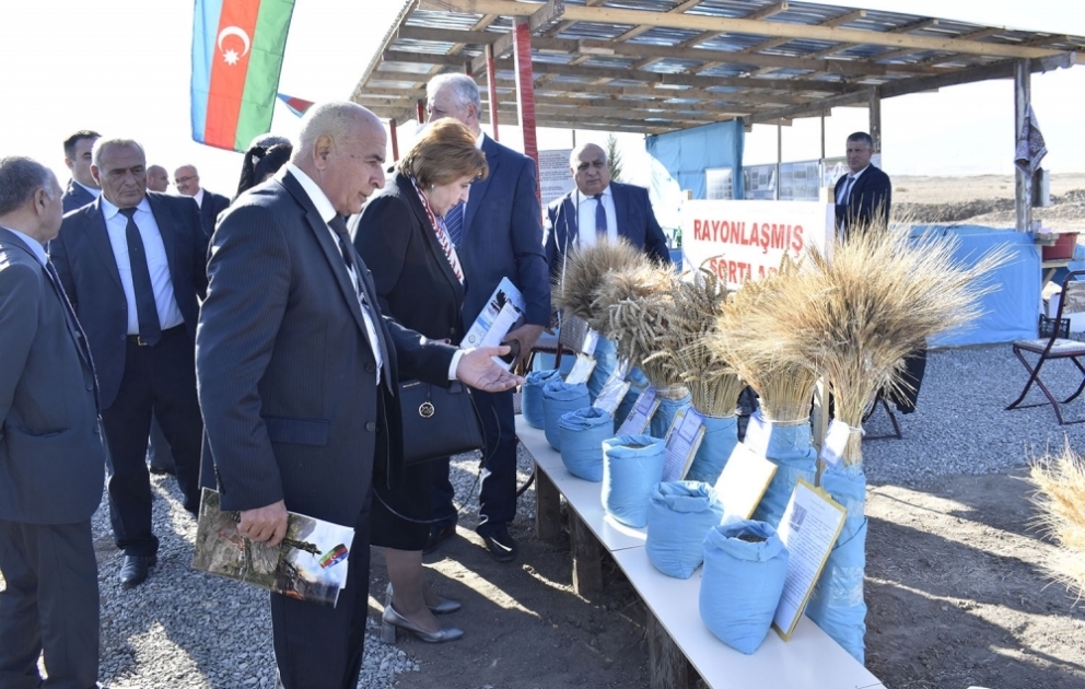 Genetik Ehtiyatlar İnstitutunun Qarabağ Elmi-Tədqiqat Bazasının infrastrukturunun bərpası ilə bağlı tarla seminarı keçirilib VİDEO