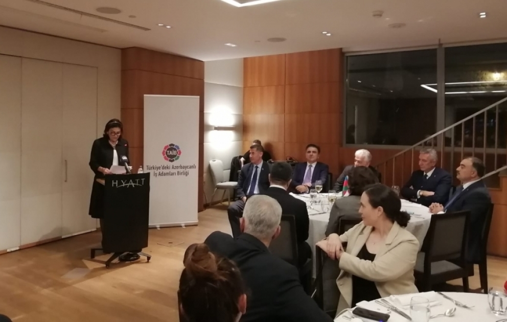 İstanbulda şanlı Zəfərimizin birinci ildönümü və Türkiyənin Respublika Günü münasibətilə tədbir keçirilib VİDEO
