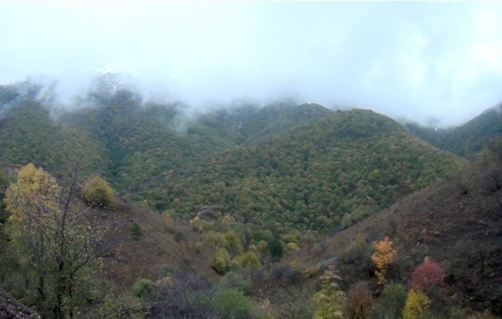 Azerbaijan’s Defense Ministry releases video footage of Takdam village, Kalbajar district VIDEO