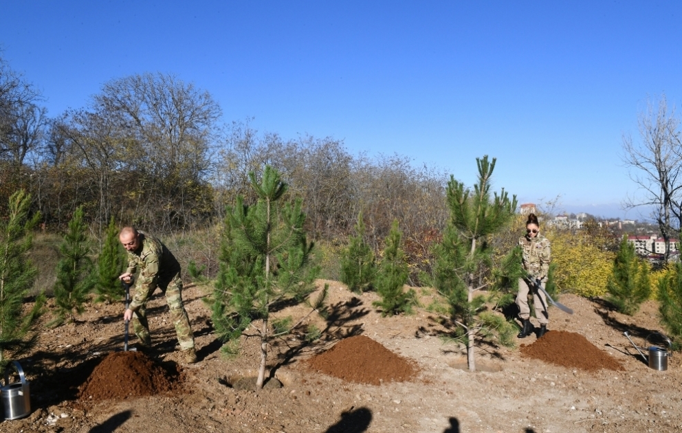Restoration of Topkhana forest in Shusha started and a tree-planting campaign was held President Ilham Aliyev and First Lady Mehriban Aliyeva planted trees in Jidir Duzu VIDEO