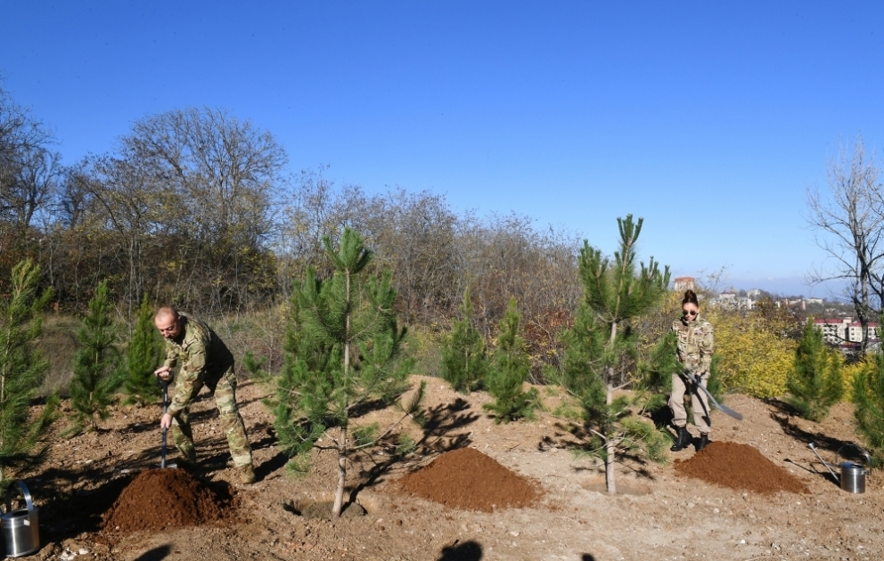 Choucha : la restauration de la forêt de Topkhana est lancée avec une campagne de plantation d’arbres Le président Ilham Aliyev et son épouse Mehriban Aliiyeva ont planté des arbres VIDEO