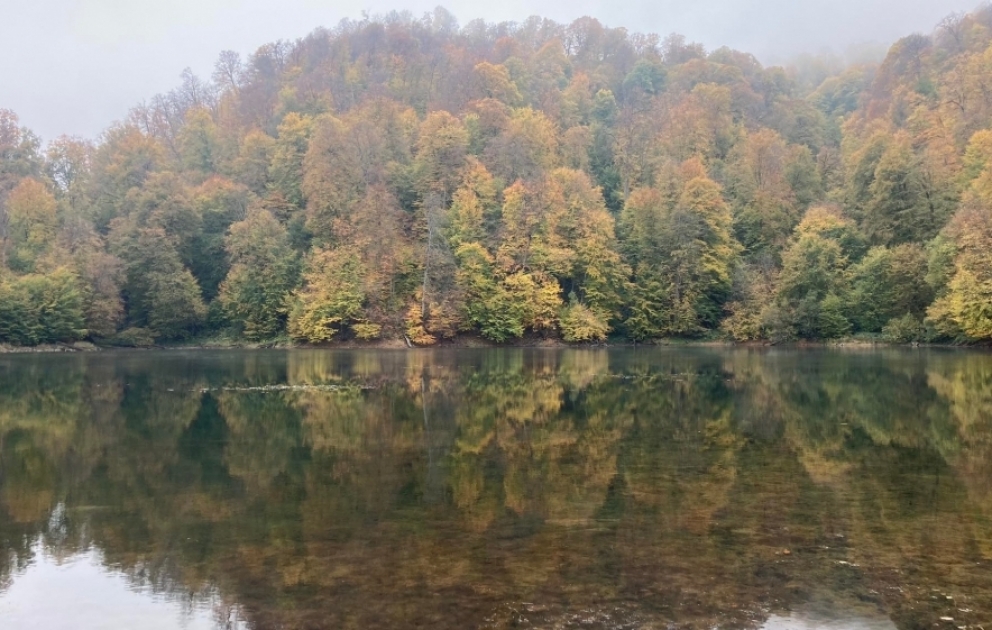 Le parc national de Göygöl dont se nourrit l’âme VIDEO