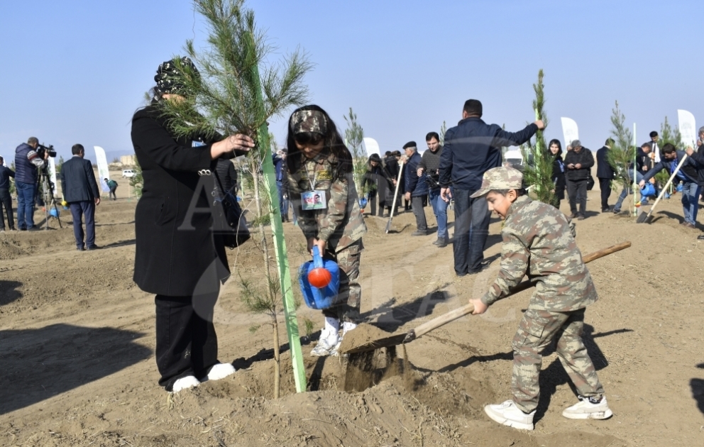 Ağdam şəhərindəki meşə parkı ərazisində ağacəkmə aksiyası keçirilib FOTO VİDEO