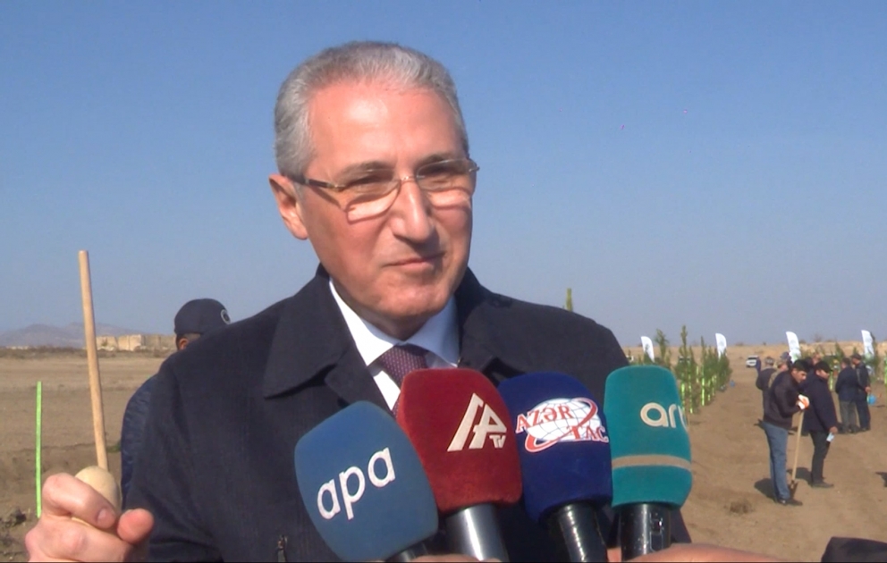 Muxtar Babayev: İşğaldan azad olunmuş torpaqlarımızda müasir və böyük tinglik yaradılır VİDEO