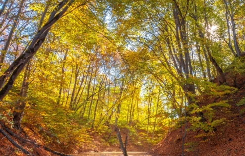 Autumn colors of Gusar in pictures VIDEO