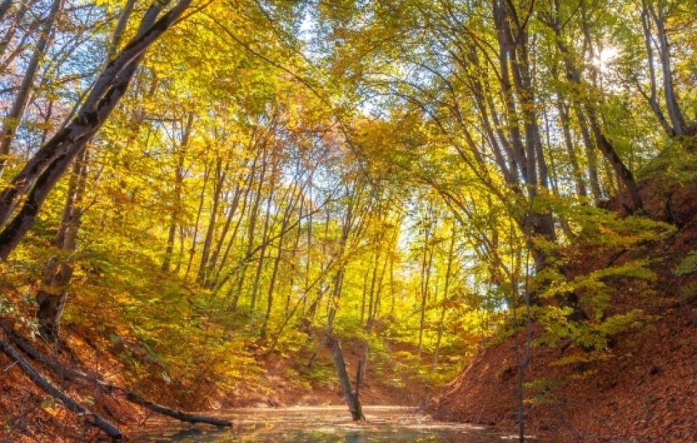 La région de Goussar et ses paysages d'automne VIDEO