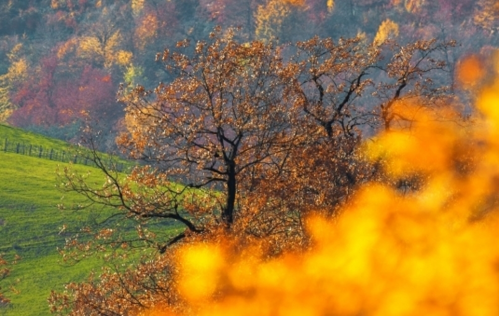 Herbstschönheit südlicher Gebiete des Landes in Fotos VIDEO
