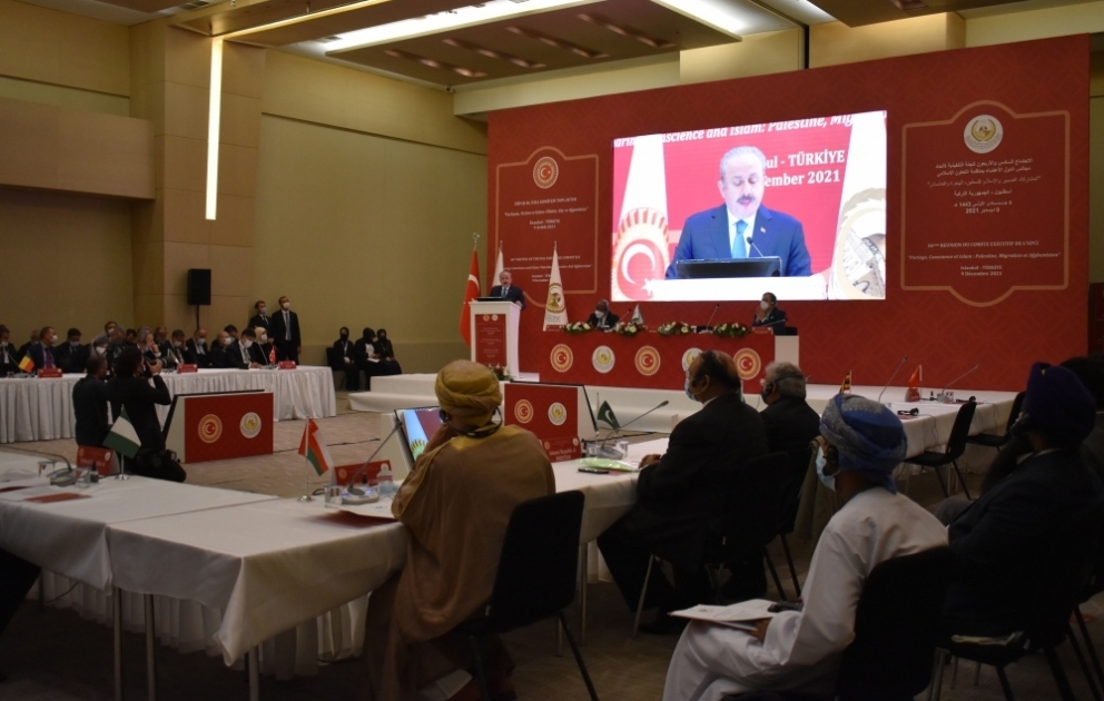 Milli Məclisin nümayəndə heyəti İƏT Parlament İttifaqının XVI Konfransında iştirak edir VİDEO