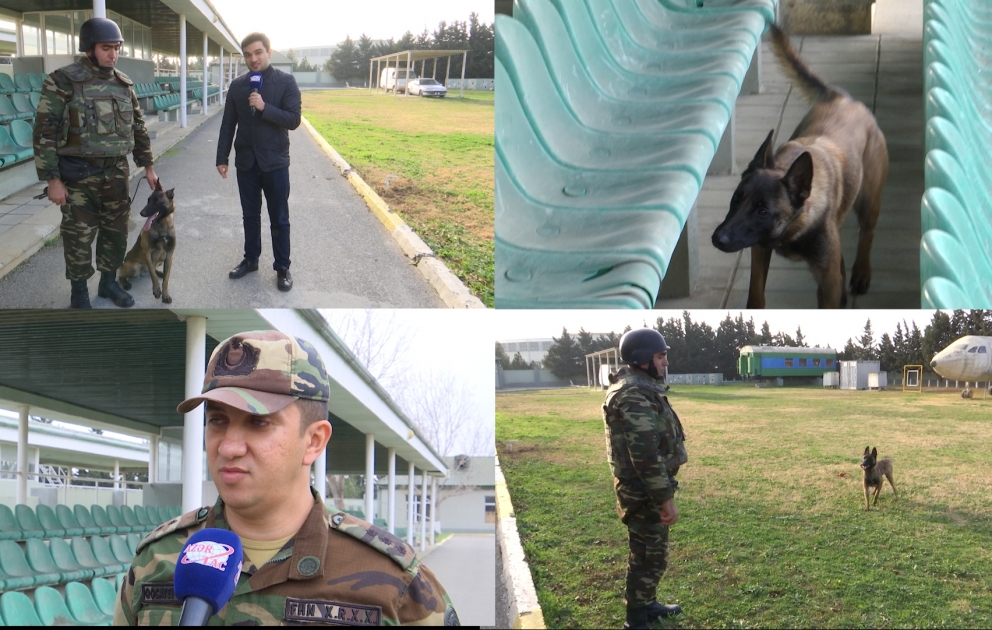 FHN-in kinoloqları işğaldan azad olunmuş ərazilərdə minaların təmizlənməsi işinə xüsusi təlim keçmiş minaaxtaran itlərlə qoşulur VİDEO