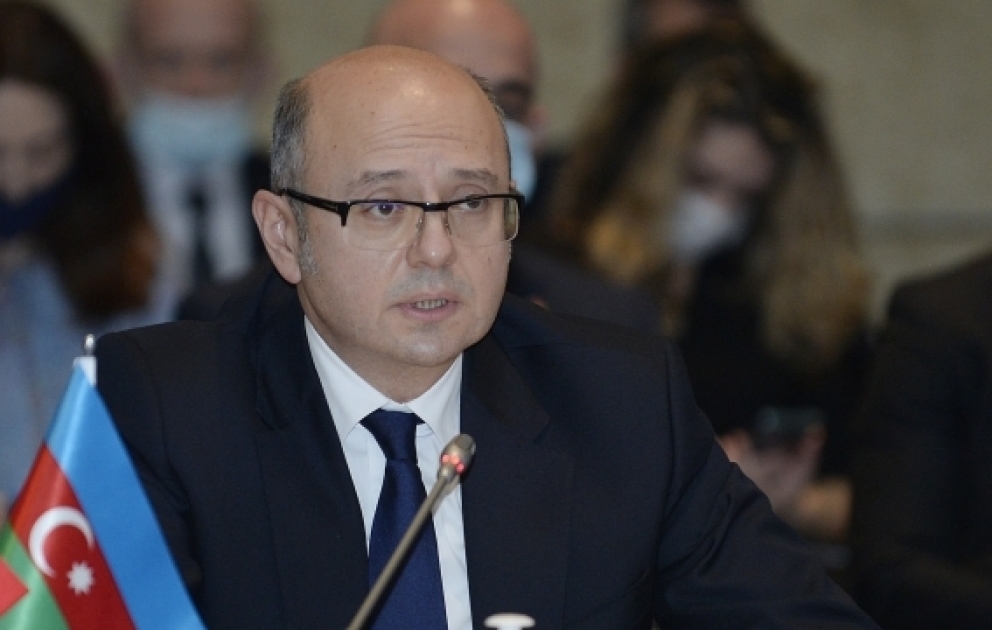 Парвиз Шахбазов: 5,1 млрд кубометров природного газа, транспортированного в Турцию за 11 месяцев, пришлось на долю TANAP ВИДЕО