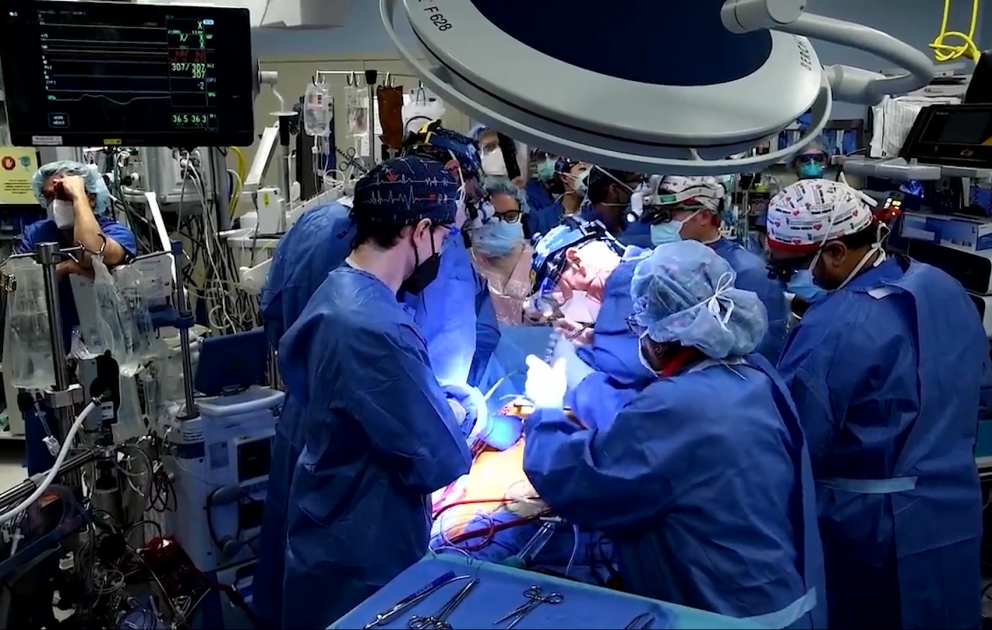 Surgeons perform first successful transplant of pig heart to human patient VIDEO