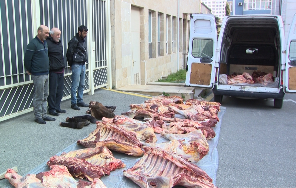 İstifadəyə yararsız 4 ton at və mal ətinin satışını həyata keçirən mütəşəkkil dəstənin üzvləri tutulublar VİDEO