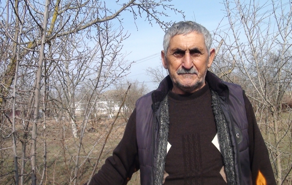 Salyanın bağlarında budama işləri yekunlaşmaq üzrədir VİDEO