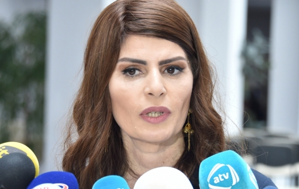 Dövlət Dil Komissiyası yanında Monitorinq Mərkəzinin direktoru cərimələrlə bağlı məsələyə aydınlıq gətirib VİDEO