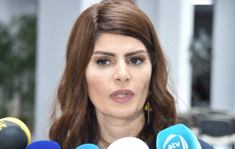 Dövlət Dil Komissiyası yanında Monitorinq Mərkəzi televiziyaların dilində xarakterik nöqsanları açıqlayıb VİDEO