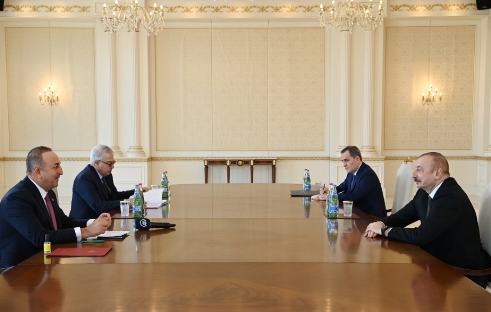 Entretien du président Ilham Aliyev avec le ministre turc des Affaires étrangères VIDEO