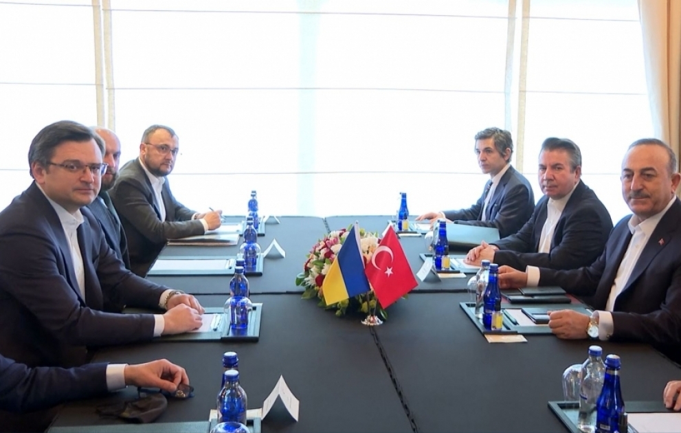 Antalyada Türkiyə və Ukraynanın xarici işlər nazirləri arasında görüş olub VİDEO