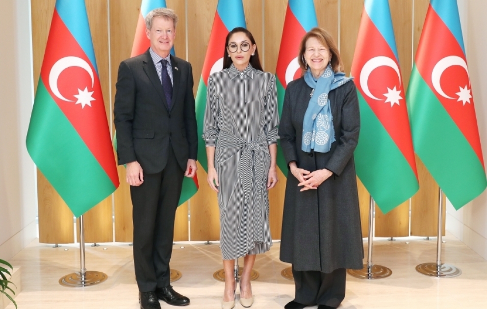 Birinci vitse-prezident Mehriban Əliyeva Böyük Britaniya Baş nazirinin Azərbaycan üzrə ticarət elçisi ilə görüşüb VİDEO