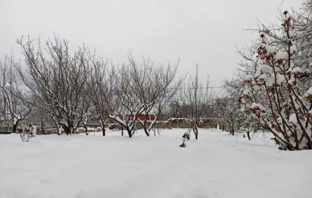 Şimal bölgəsində hava durumu: 20 santimetr qar, mənfi 10 dərəcə temperatur VİDEO
