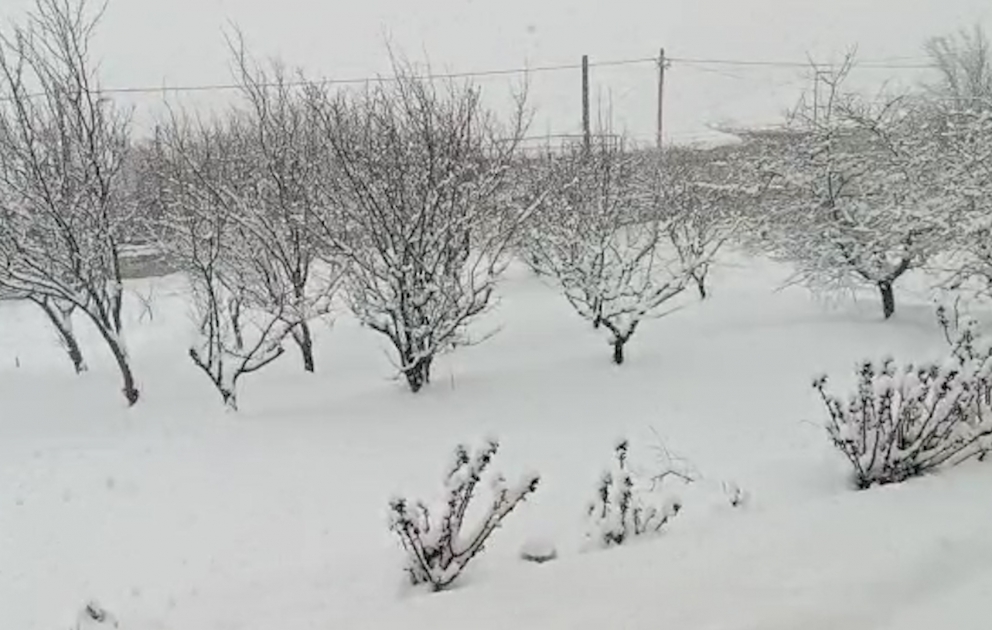 Şimal bölgəsində ən çox qar Xızının Altıağac qəsəbəsinə yağıb VİDEO