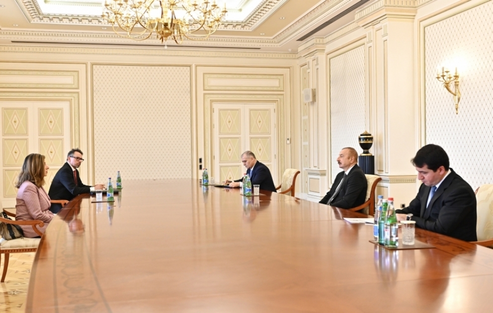 Präsident Ilham Aliyev empfängt Generaldirektorin der Internationalen Kommission für vermisste Personen VIDEO